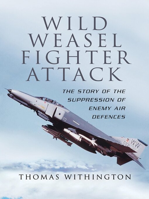 Cover image for Wild Weasel Fighter Attack
